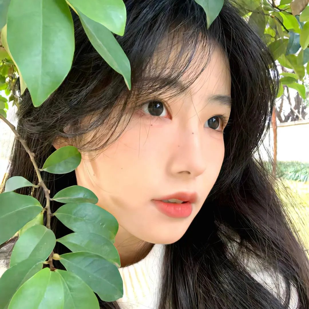红白黑黄第一季