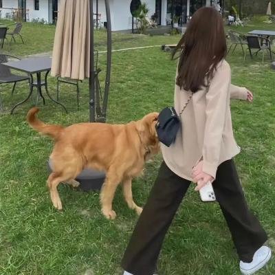 怪客临门